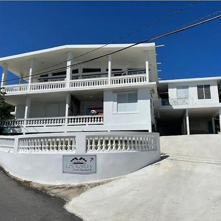 Los Roires Beach Apartments Fajardo Extérieur photo